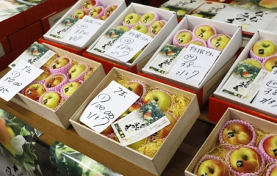 写真:初競りにかけられたリンゴ「ななみつき」=14日午前、函館市青果物地方卸売市場