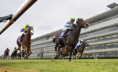 写真:第77回朝日杯フューチュリティステークスを制したカヴァレリッツォ(手前右)=阪神競馬場