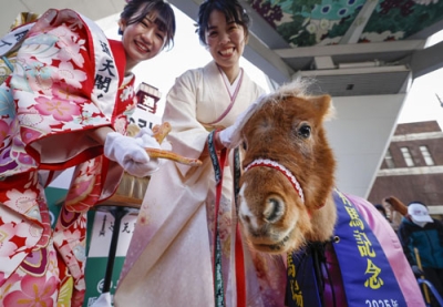 写真:大阪・新世界の通天閣で行われた干支の引き継ぎ式で、対面したコーンスネークとポニー=26日午前