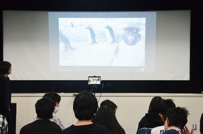 写真:遠隔授業のモニター越しにペンギンの様子を見る生徒たち