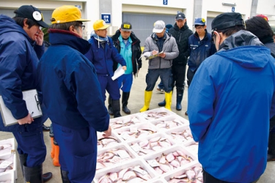 写真:威勢の良いかけ声とともに取引された初競り=5日午前7時5分ごろ