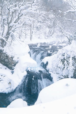 写真:大寒の大滝の三階滝=20日午前