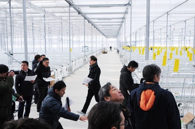 写真:完成したミニトマトの大規模ハウスを見学する関係者