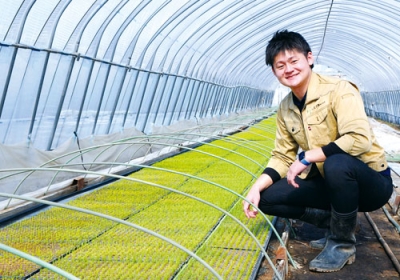 写真:育苗する九条ねぎを確認しながら伊達の生産に期待を込める山田取締役=伊達市南稀府町