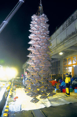 写真:漁船から水揚げされる「ざぶとん」=23日午前4時半ごろ、追直漁港・Mランド